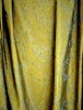 SOLEA318